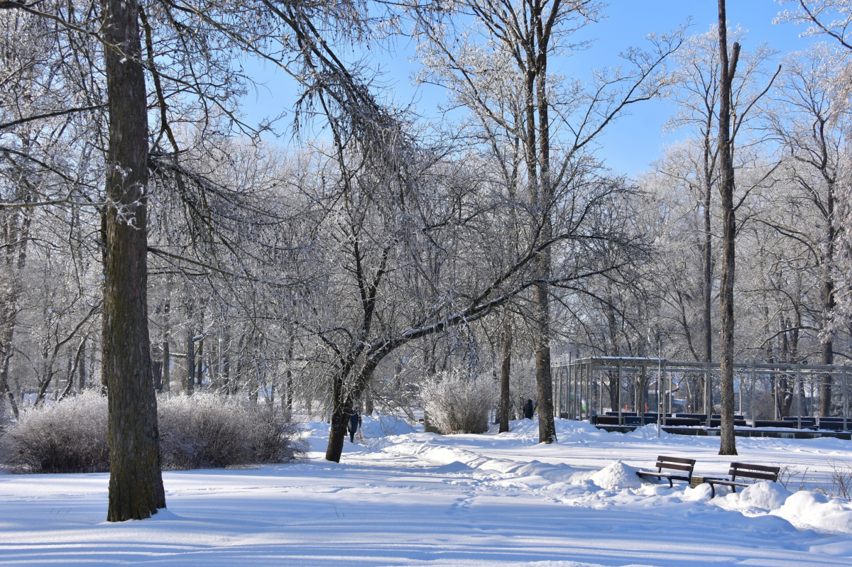 Jēkabpils Radio1 ziņas 2026.gada 11.februārī