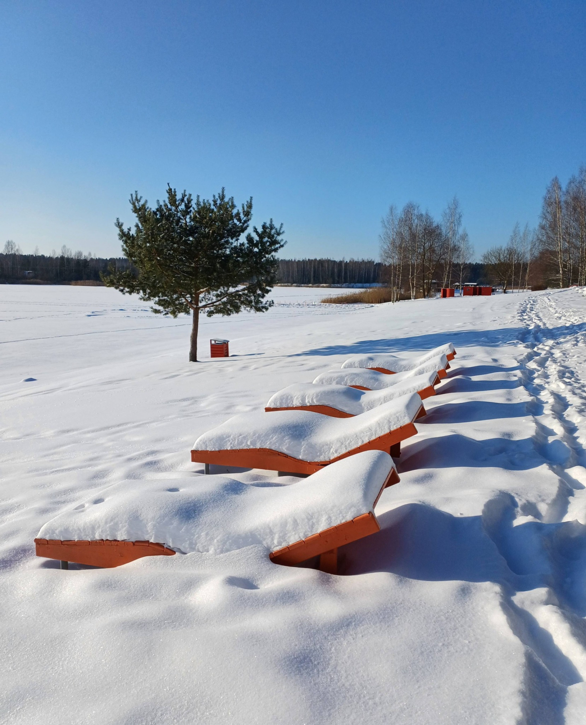 Sniega segas augstums Jēkabpilī pieaudzis līdz 30 centimetriem