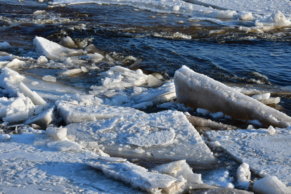 Daugavā lejpus Jēkabpils ir izveidojies ledus sastrēgums