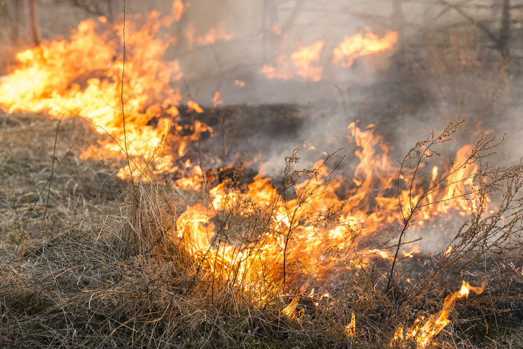 Jēkabpils novadā brīvdienās dzēsta saimniecības ēka, divi šķūņi, kā arī plaši kūlas ugunsgrēki
