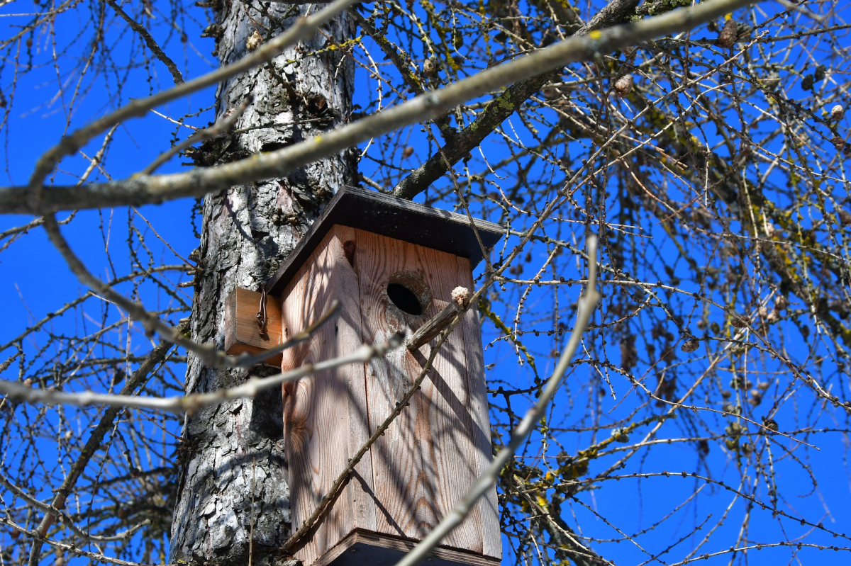 Jēkabpils Radio1 2026.gada 8.aprīlī