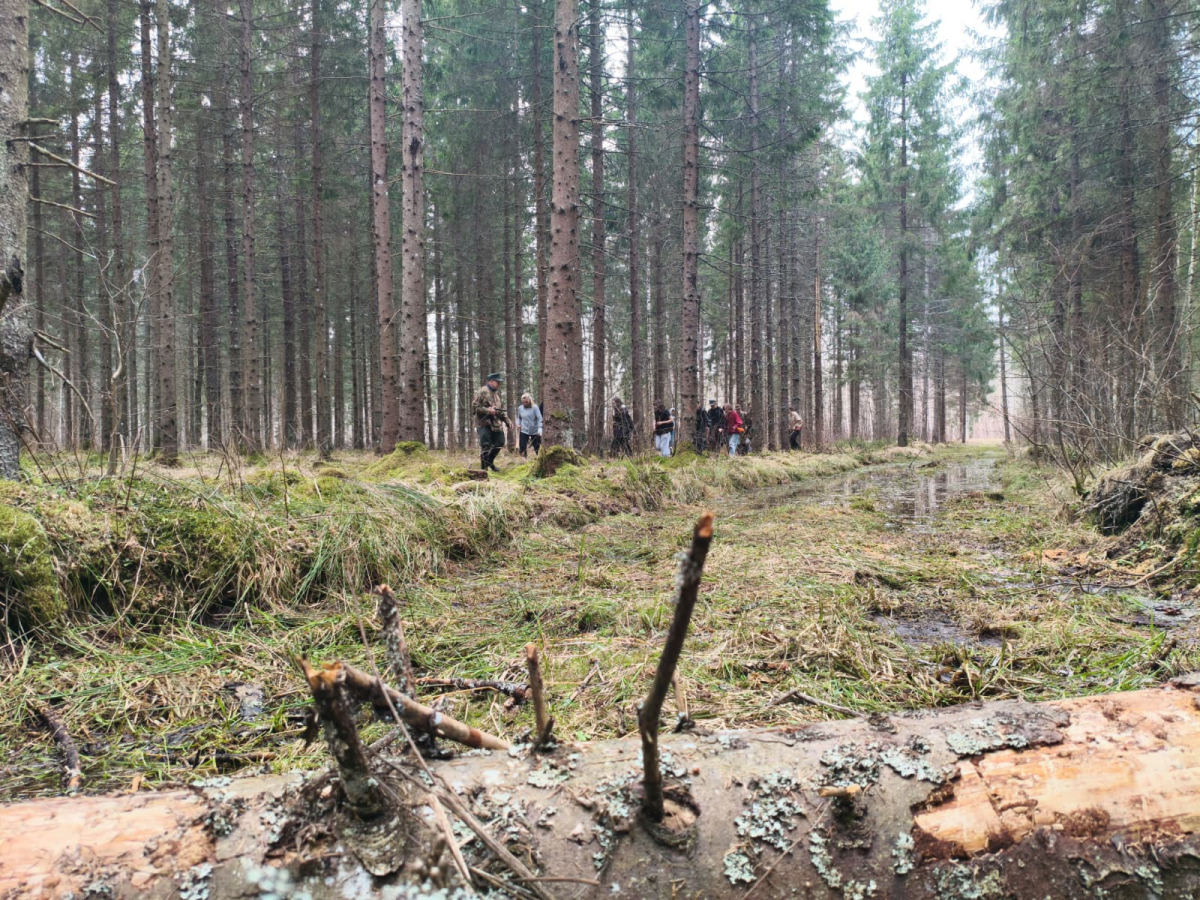 Jēkabpils novada Sūpes purva apkārtnē turpināsies projekta "Sēlijas mežabrāļi" aktivitātes