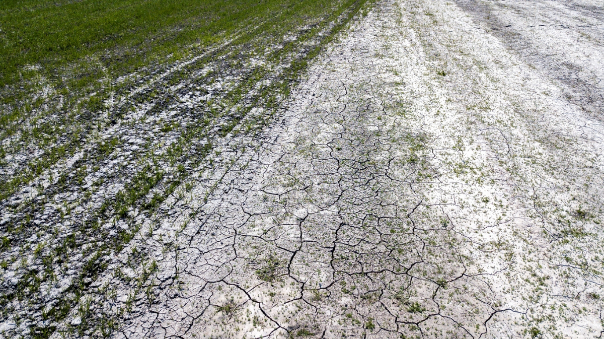 Jēkabpilī ekstremāls sausums turpinās 19 dekādes pēc kārtas, kopš pērnā gada oktobra