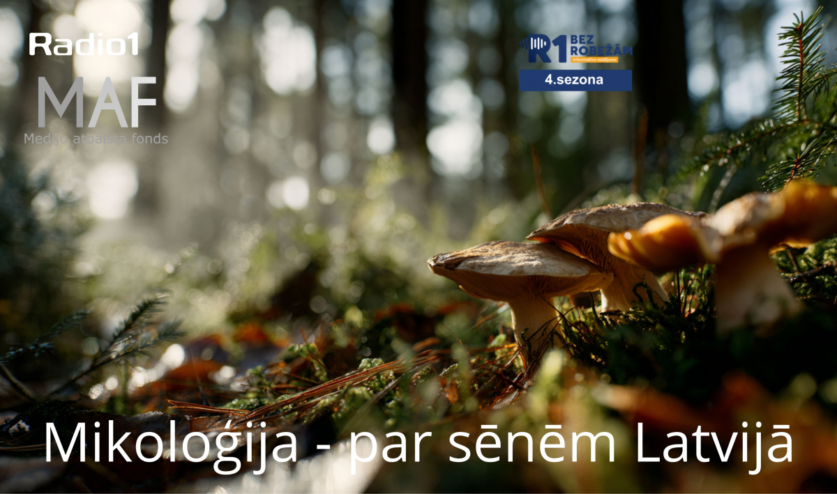 ,,Bez robežām’’ S4E16 Mikoloģija - par sēnēm Latvijā