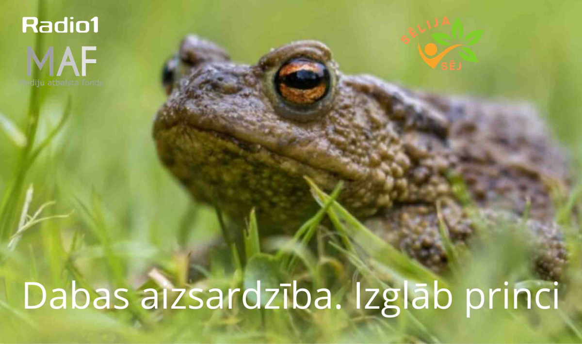,,Sēlija sēj’’ S2E29 Dabas aizsardzība. Izglāb princi