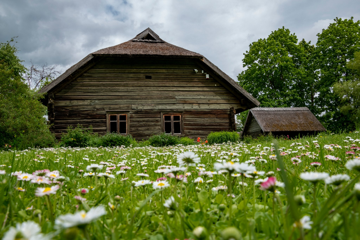 Dabas vērotājs Vilis Bukšs jūnijā - Zāļu, Ziedu un Papuves mēnesī - prognozē lielu karstumu, stiprus negaisus un krusu