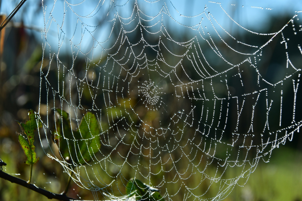 Nākamnedēļ īslaicīgi būs jaušams rudenīgs dzestrums