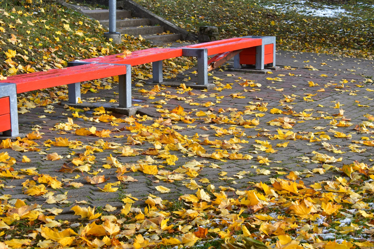 Kāds laiks gaidāms oktobrī - Veļu, Zemliku un Lietus mēnesī? Dabas vērotāja prognozes