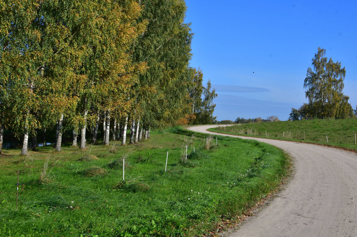 Jēkabpils Radio1 ziņas 2026.gada 16.oktobrī