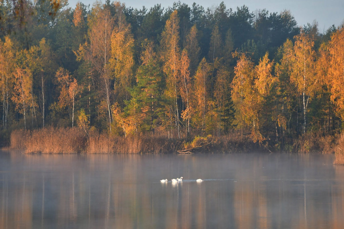 Nedēļas sākumā gaidāmas dzestras naktis