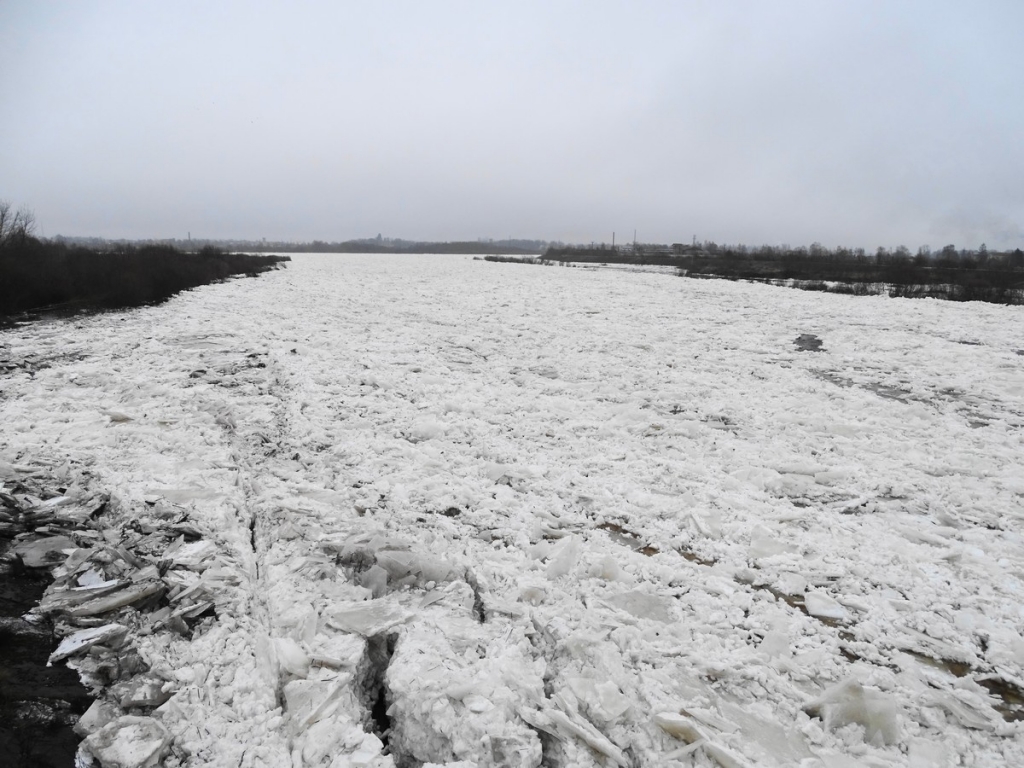 Vižņu sastrēgums Daugavā un applūdušās palienes lejpus Jēkabpils (FOTO)(PAPILDINĀTS)