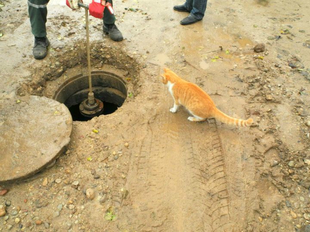 Veidos ekspertu komandu hidrantu pārbaudei