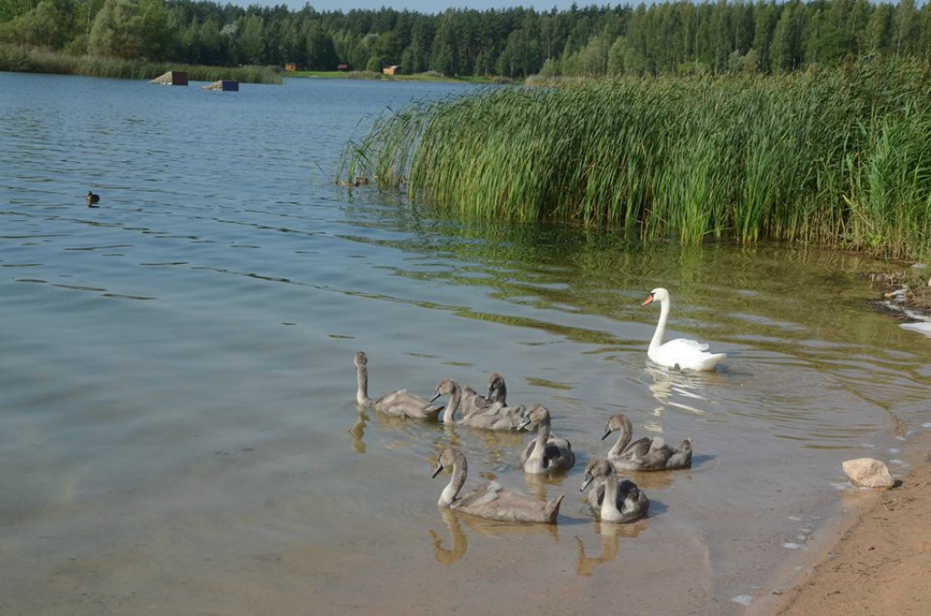 Pirmo reizi kopš jūnija visā valstī valdīs sauss un saulains laiks