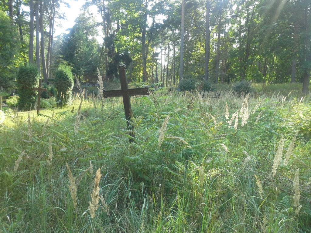 Aculiecinieks: Jēkabpils pilsētas kapos krusti un kapu kopiņas ieaugušas zālē (FOTO)