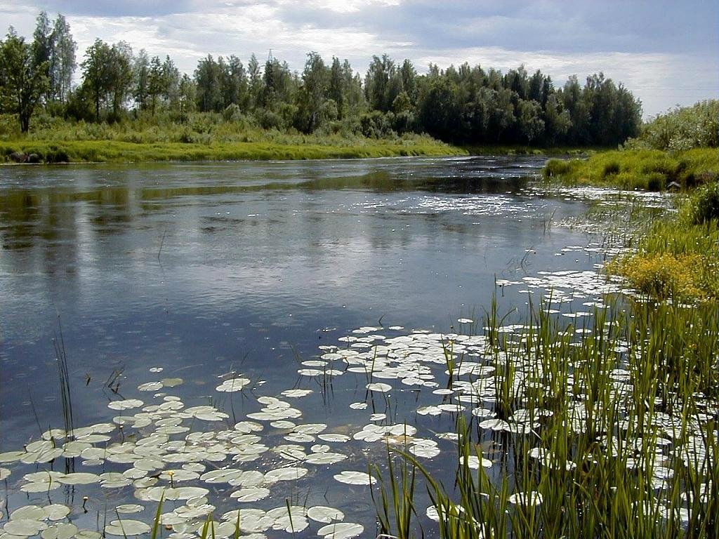 Piektdien Pļaviņās noslīcis 30gadīgs vīrietis