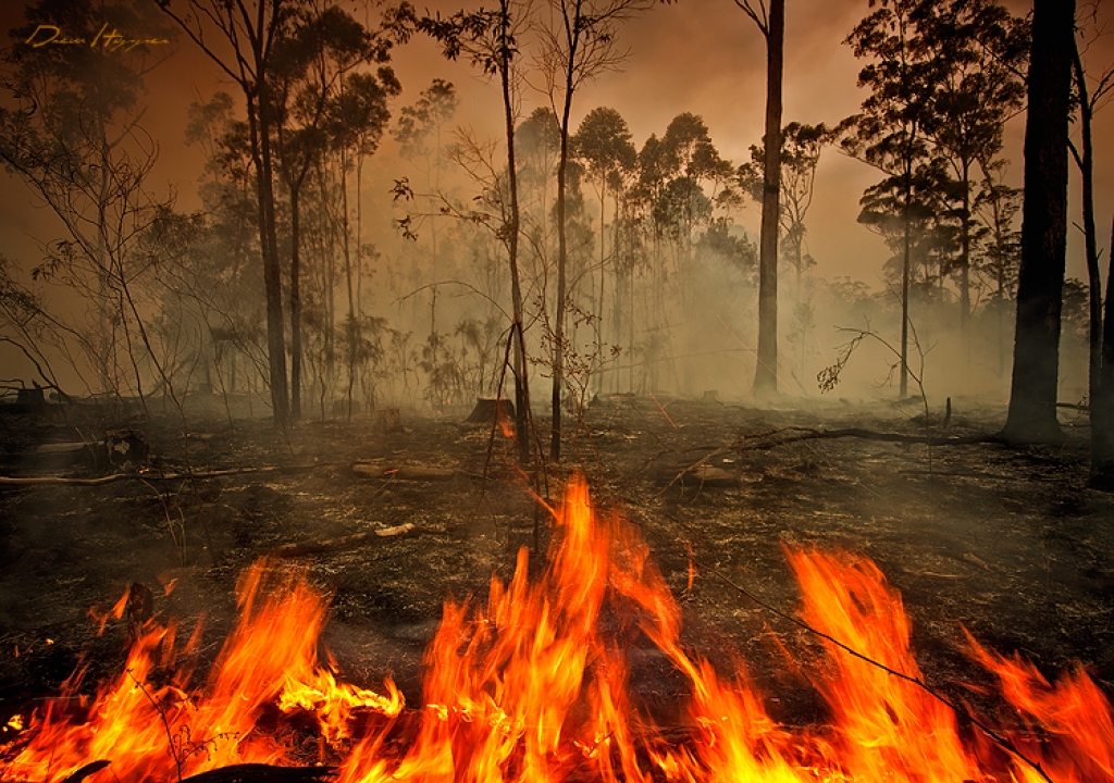 2. maijā sākas meža ugunsnedrošais periods