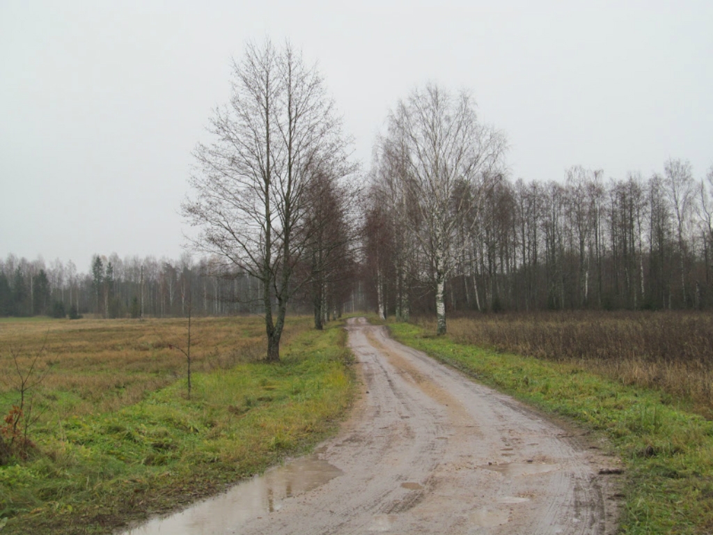 Tuvākās diennaktis būs siltas un mitras, nedēļas otrajā pusē kļūs vēsāk