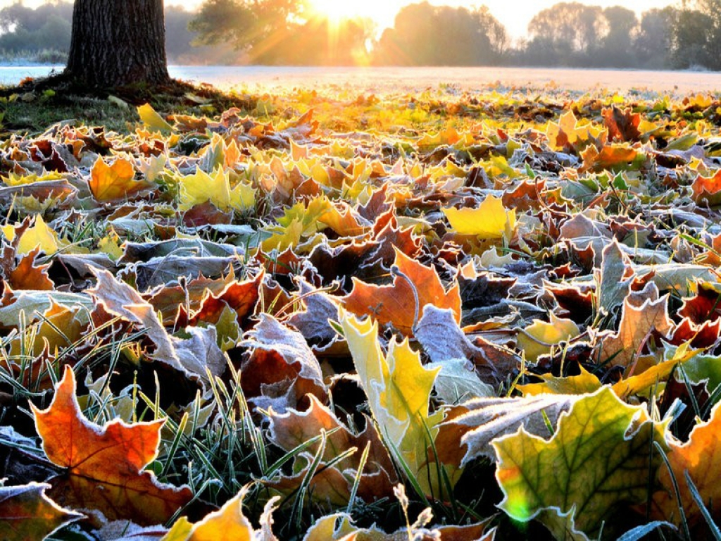 Kāds laiks gaidāms oktobrī -  Veļu, Zemliku un Rudens mēnesī?