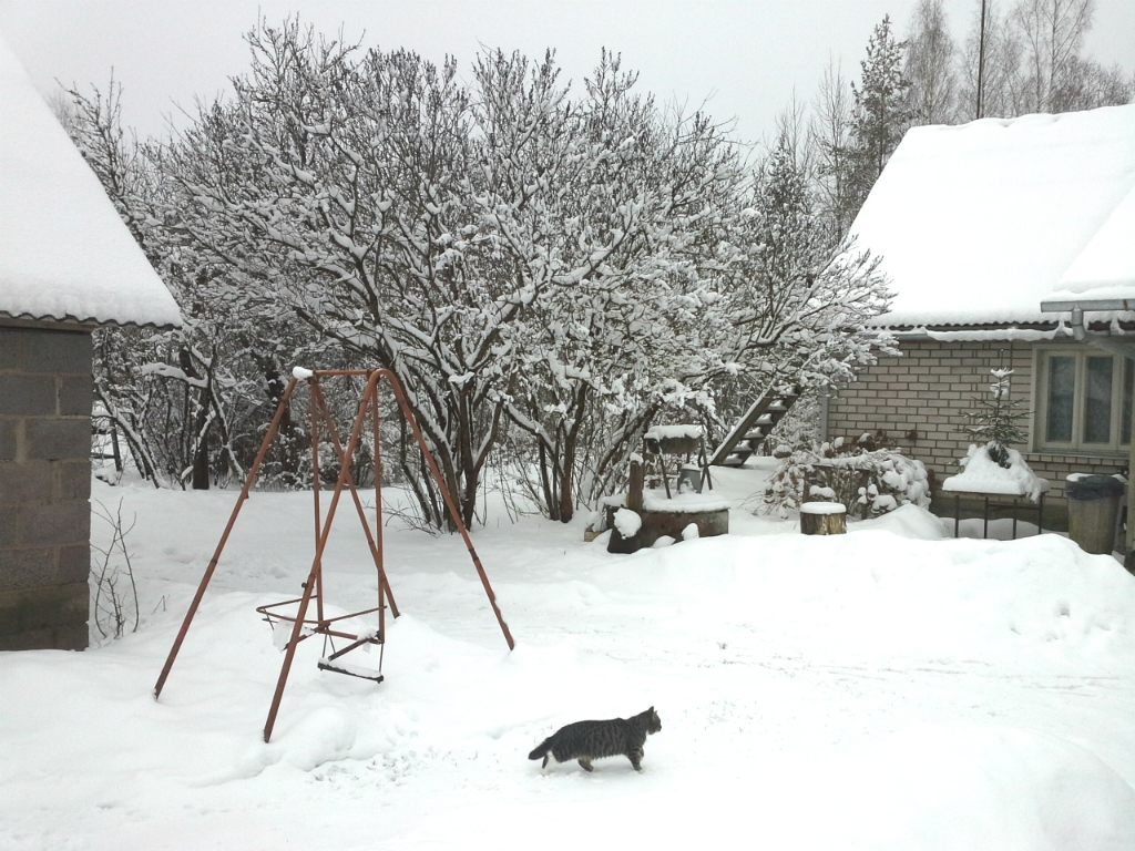 Šonedēļ Latvijā nostiprināsies ziema