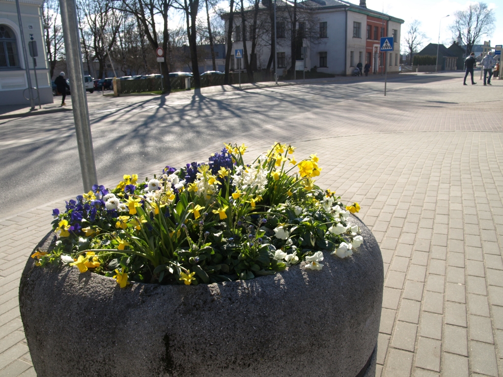 Iepirkums nav noslēdzies, puķes jau sastādītas (FOTO)