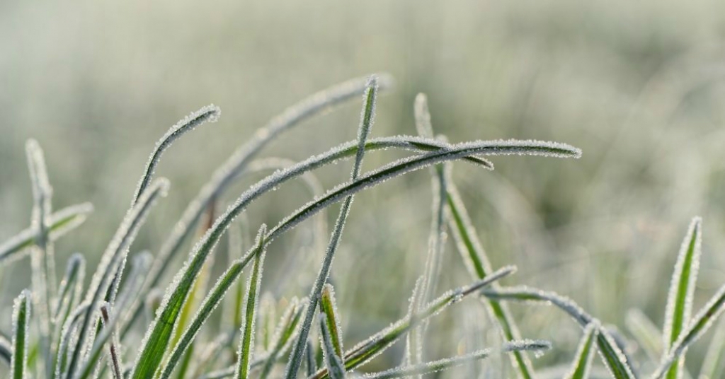 Naktī gaisa temperatūra vietām Latvijā noslīdēs zem nulles