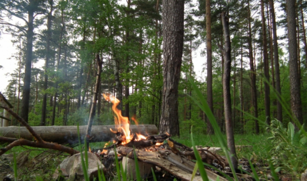 Mežos pieaug ugunsbīstamība