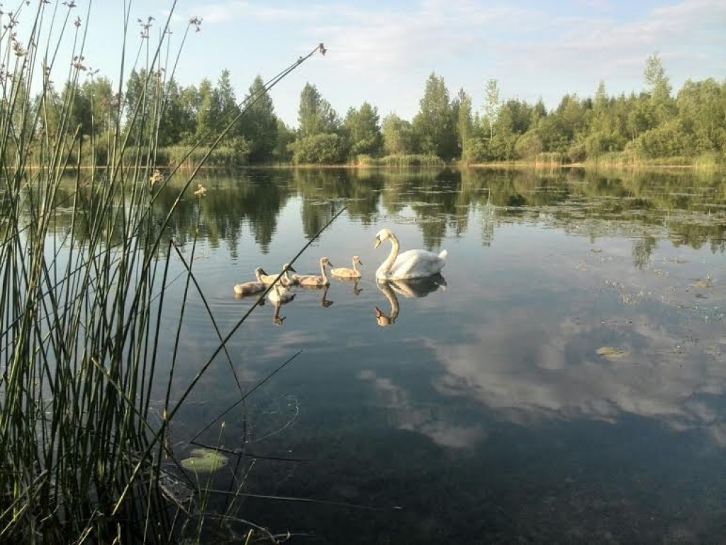 Aizvadīta viena no aukstākajām vasaras naktīm. Kāds laiks būs dienā?