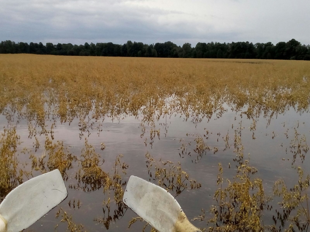 Kompensācijām par plūdu radītajiem zaudējumiem lauksaimnieki varēs pieteikties elektroniski