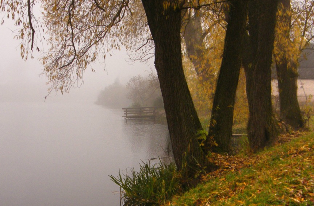 Nedēļas otrā puse būs mitrāka un siltāka