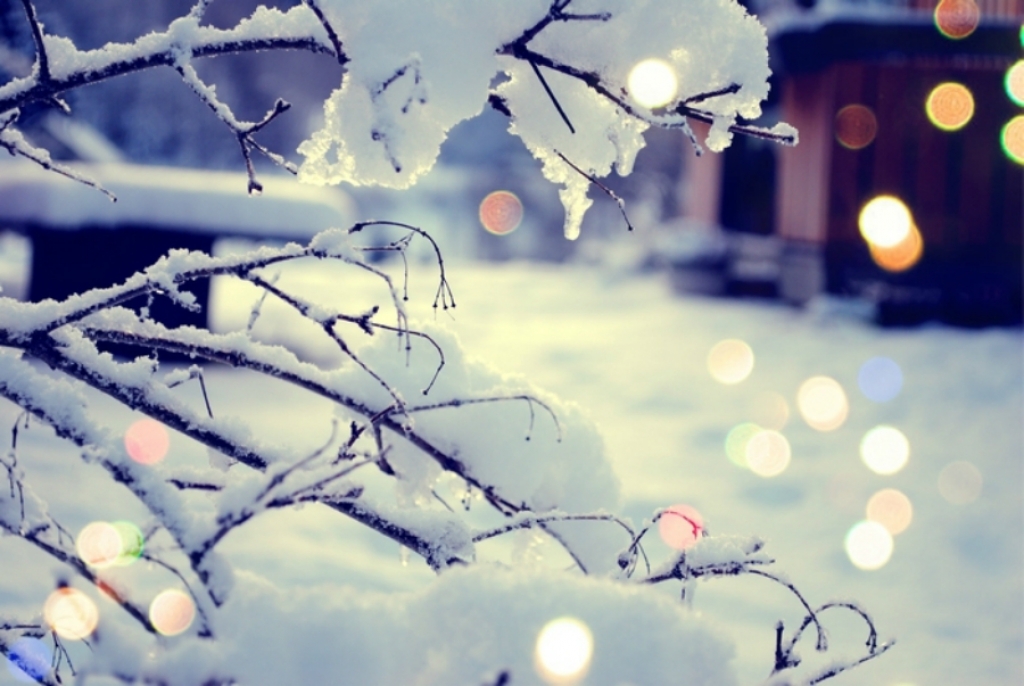 Kāds laiks gaidāms decembrī  - Vilku, Ziemas un Svētku mēnesī