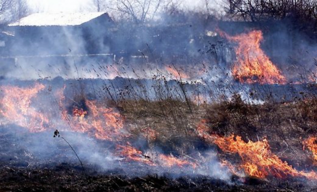 Jēkabpilī sestdien izcēlies valstī lielākais kūlas ugnsgrēks, nodegušas vairākas ēkas