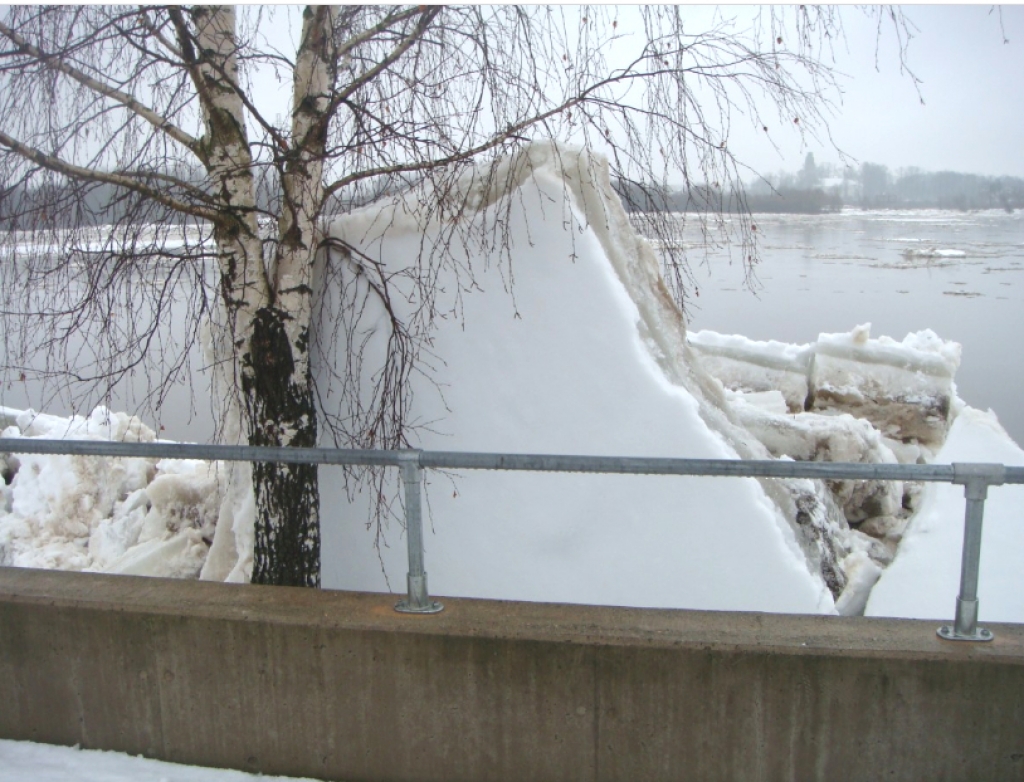 Aculiecinieka foto: "Bērzi izglāba Jēkabpili"