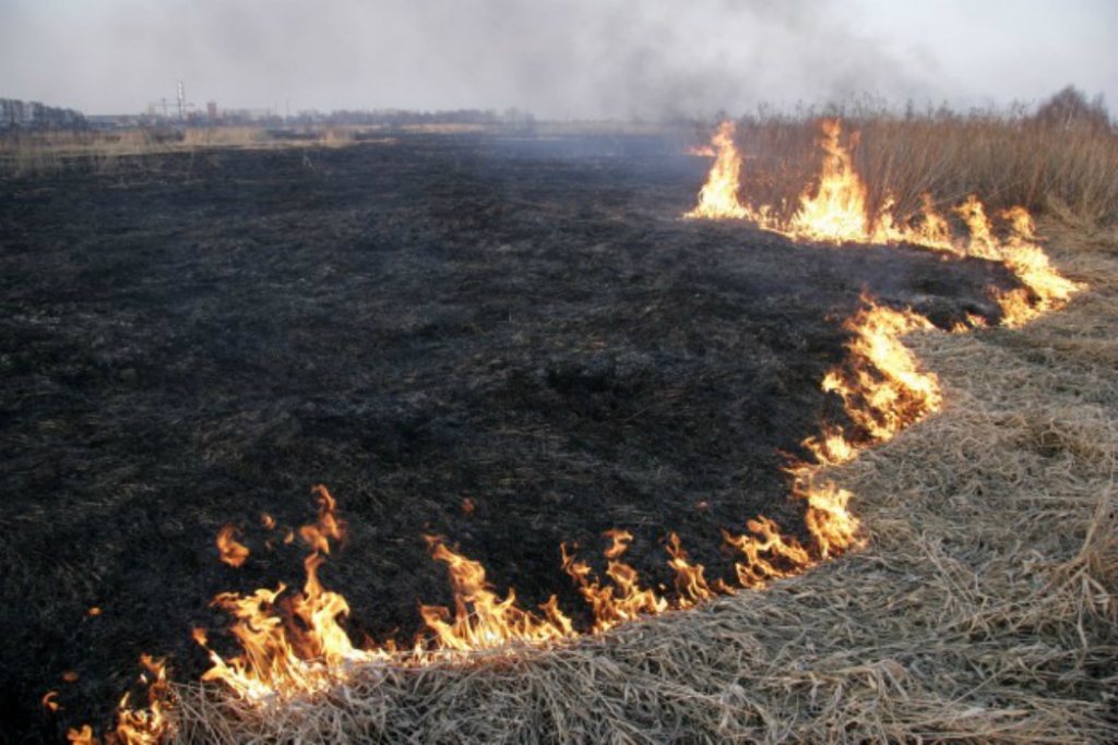 Svētdien Latvijā dzēsti 23 kūlas ugunsgrēki