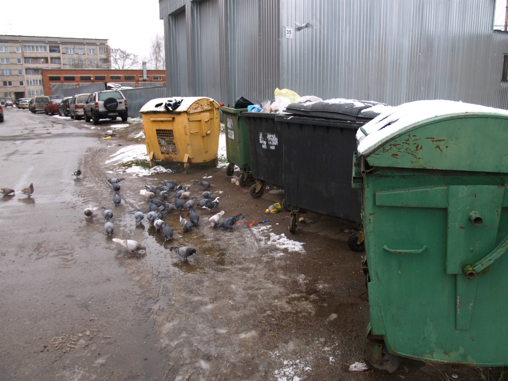 Atkārtoti pagarināts pieteikšanās termiņš Jēkabpils atkritumu apsaimniekošanas iepirkumam