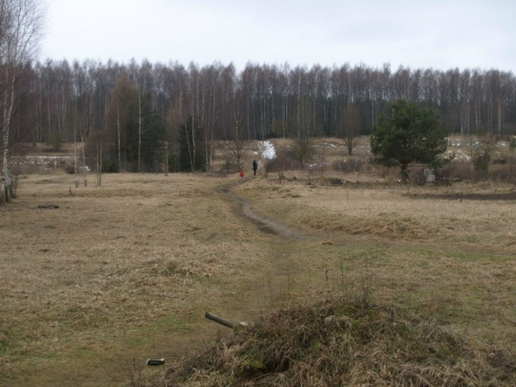 ACULIECINIEKS: Kā droši nokļūt līdz Jēkabpils Mežaparkam? (FOTO)