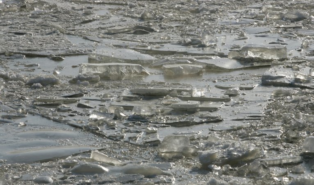 Daugava aizsalusi posmā pie Zeļķu tilta