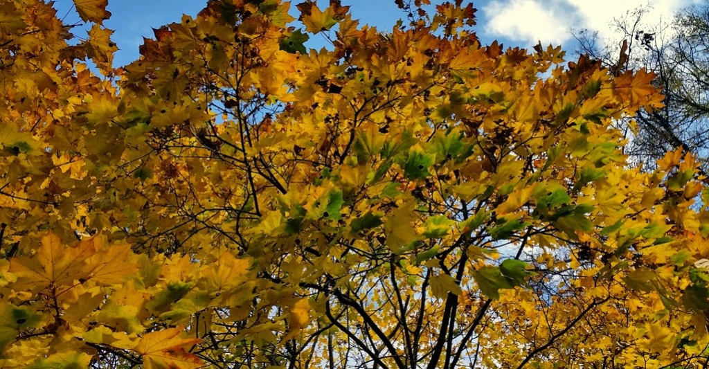 No trešdienas laikapstākļus noteiks anticiklons un spīdēs saule