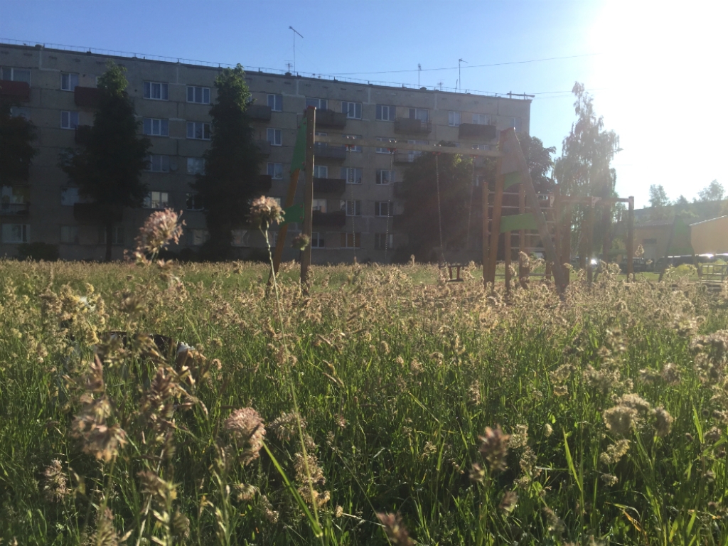 Iedzīvotāji: Kad nopļaus zāli pie daudzdzīvokļu mājām Jēkabpilī, Nameja ielā 30 un 36 (FOTO)(PAPILDINĀTA)