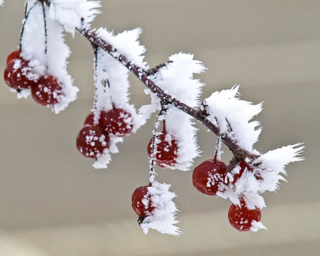 Naktī uz svētdienu gaisa temperatūra noslīdēs līdz -7 grādiem