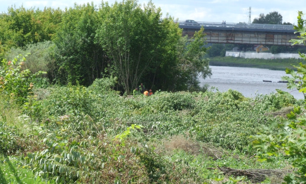 Daugavmalā izzāģē krūmus un sakopj krastmalu, lai būtu gleznains skats no promenādes