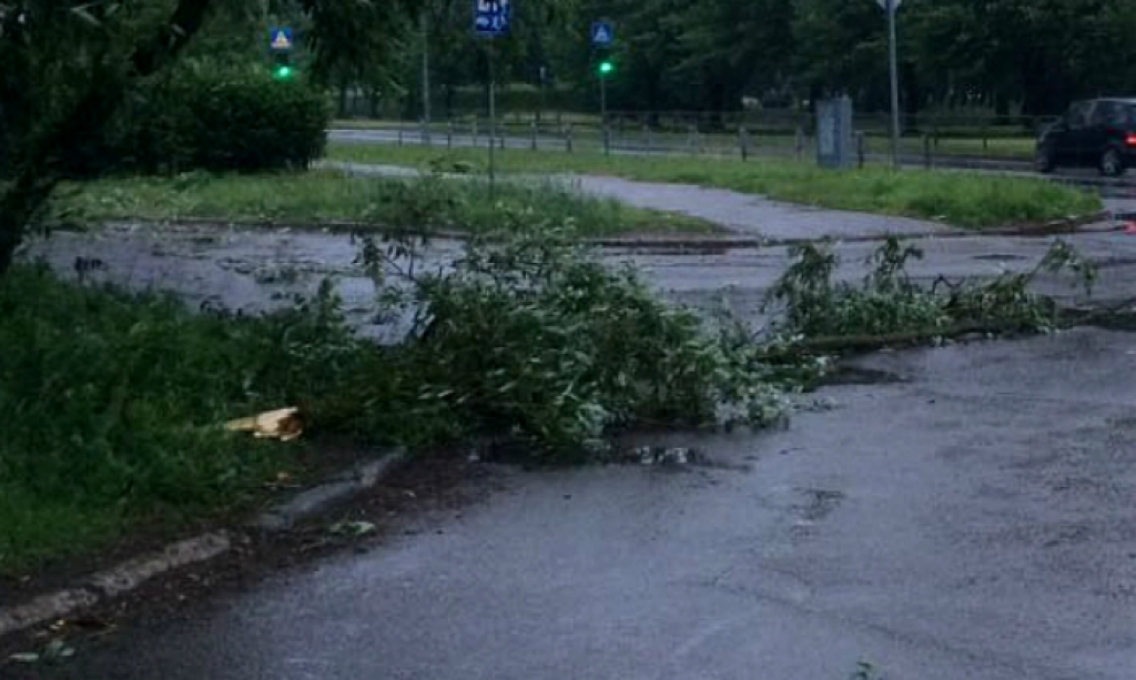 Sirmovičs: Jēkabpilī spēcīgais vējš būtiskus postījumus nav radījis