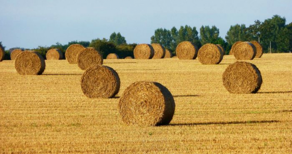 Nedēļas nogalē, aizejot ciklonam, gaidāma laikapstākļu uzlabošanās