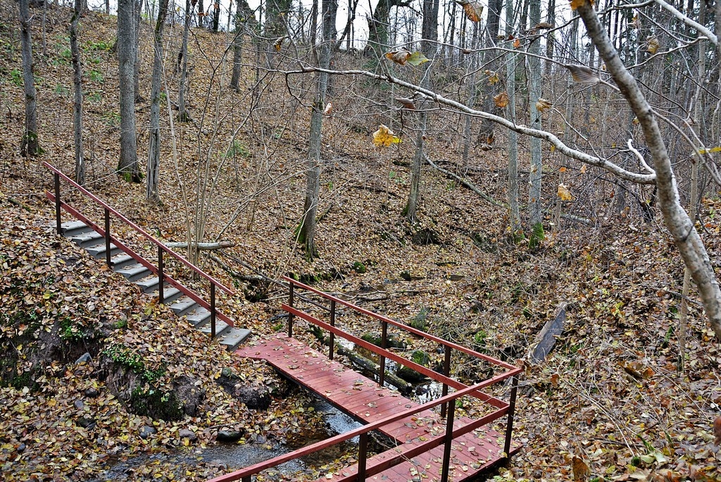 Rogāļu gravā šoruden uzstādītas koka skulptūras