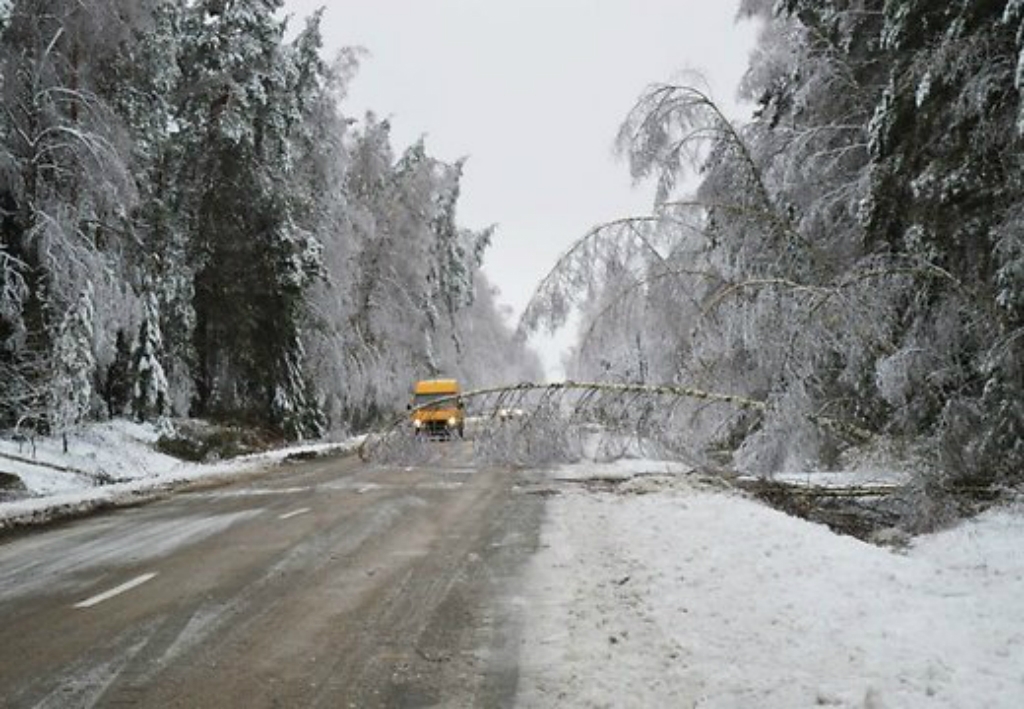 Jēkabpils, Pļaviņu un Preiļu apkārtnē autovadītājus aicina sargāties no iespējamiem vēja radītiem šķēršļiem