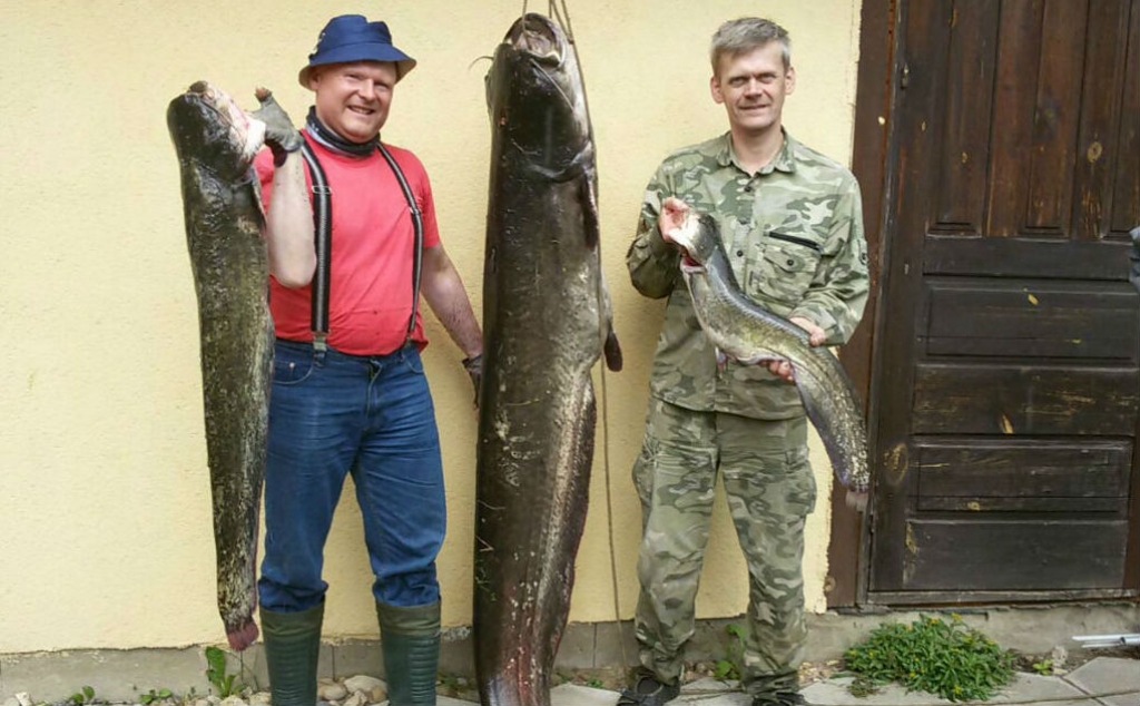 Jēkabpils makšķerniekiem brangs loms (FOTO)