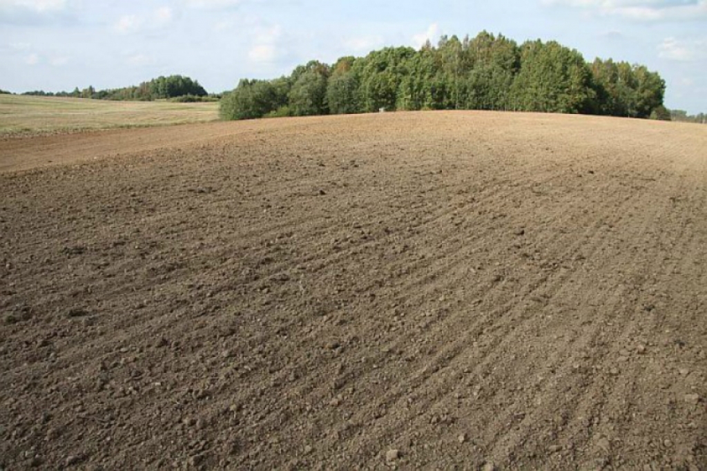 Lauksaimniecības zeme pie Jēkabpils maksā  2000-2500 eiro par hektāru