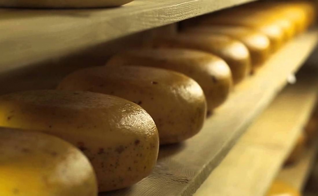 Noslēdzies kārtējais vērienīgais projekts akciju sabiedrībā “Preiļu siers”