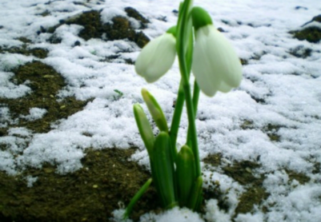 Pavasaris Latvijā būs lēns un ar aukstuma viļņiem