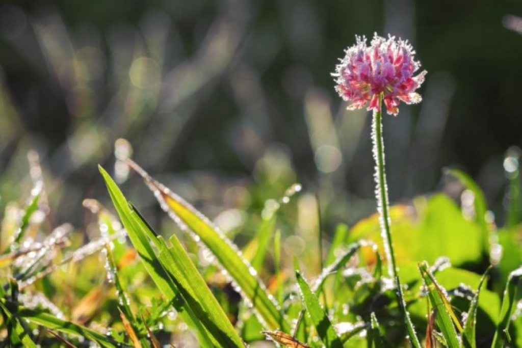 Astoņās meteoroloģisko novērojumu stacijās, tostarp Jēkabpilī, pārspēts aukstuma rekords