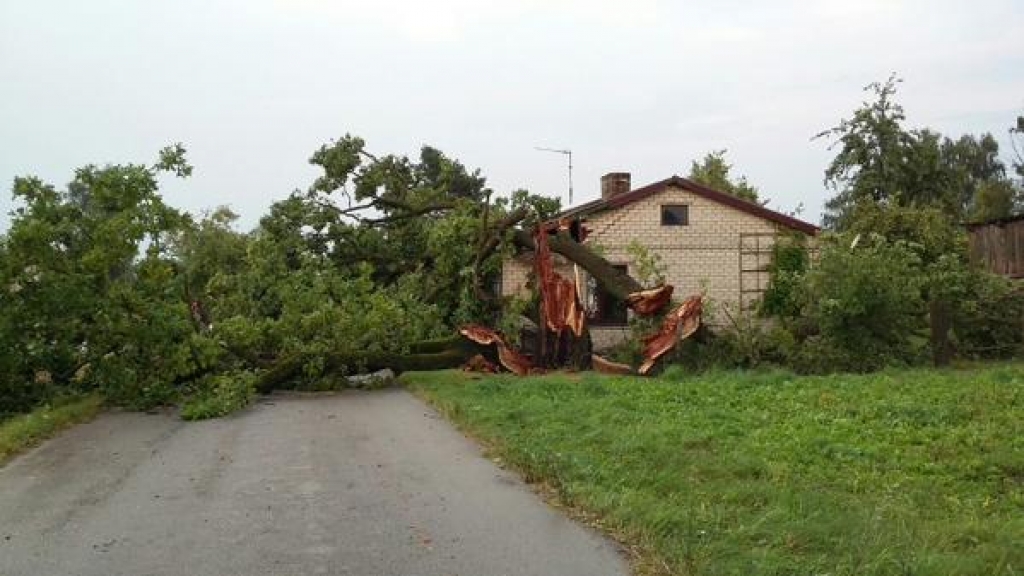 Negaiss atsevišķos ceļa posmos gāzis 60 kokus